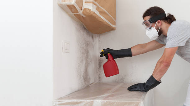 Professional Mold Inspection And Testing technician working in Beaverton, MI