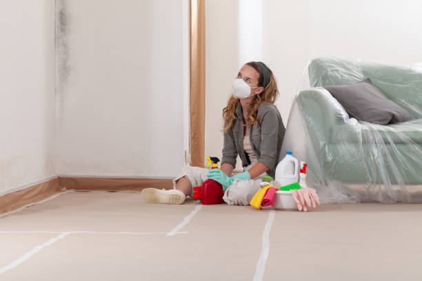 Reliable Mold Inspection And Testing contractor in Beaverton, MI by 24 Hour Mold Removal